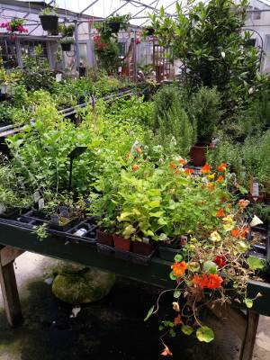 landscaping