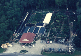 Eastern Shore landscaping services